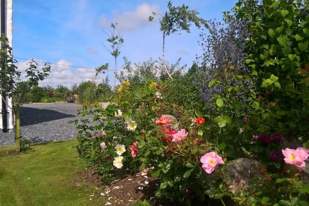 The Burren Art Gallery Built In 1798 Villa Tubber Exterior foto