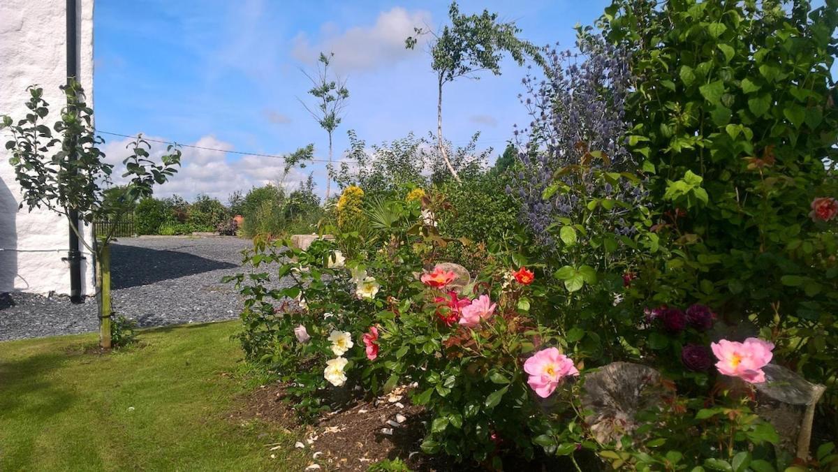 The Burren Art Gallery Built In 1798 Villa Tubber Exterior foto